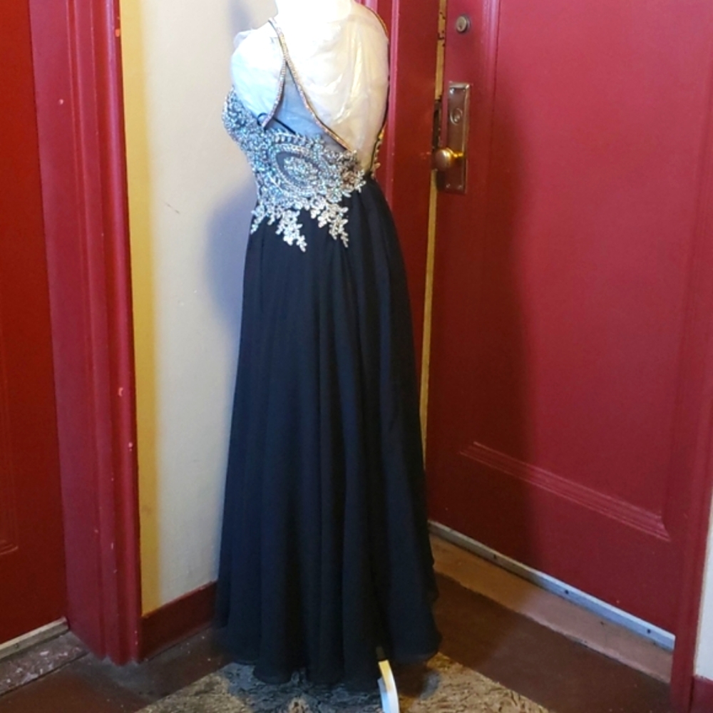 Cluster Sequin Embellished Bodice Flowy Chiffon Go - Picture 9 of 16
